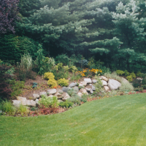 Oyster bay cove landscaping